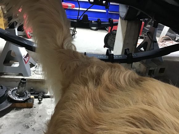 Side view of OMEs complete with hound.