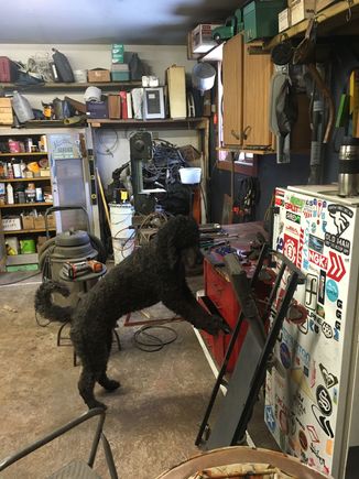 Freddy already searching for the 10 mm socket