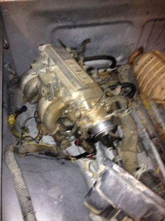 EFI setup, sorry for blurry photo, crappy light in the garage. I just realized I also will be needing a throttle cable.