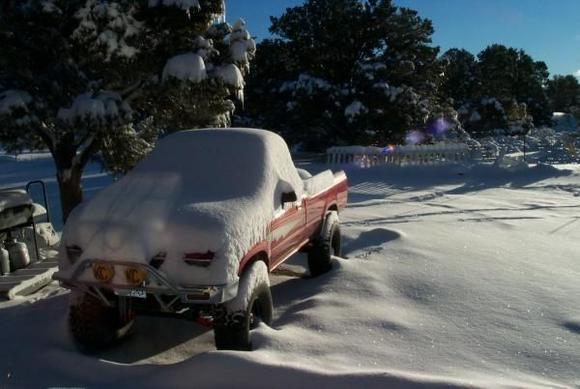 Snow



2-20-2011