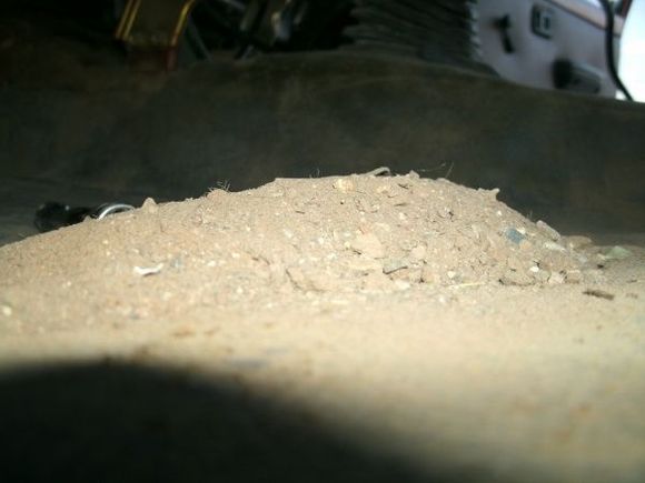 600xCarpet dirtpile2