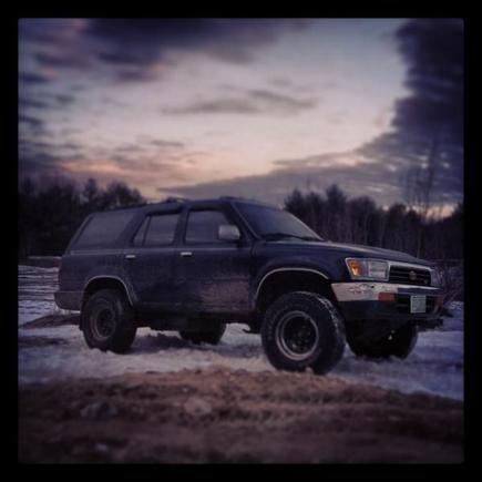 Out in the woods