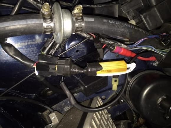 The resistor / connector assembly connected to the unused headlight connector