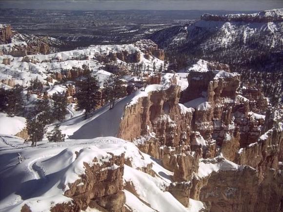 bryce winter, see our snow shoe tracks!