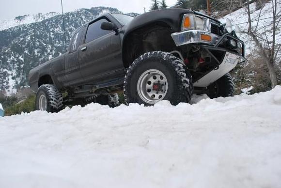 out in the snow