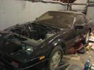 Chadd's 84 z31