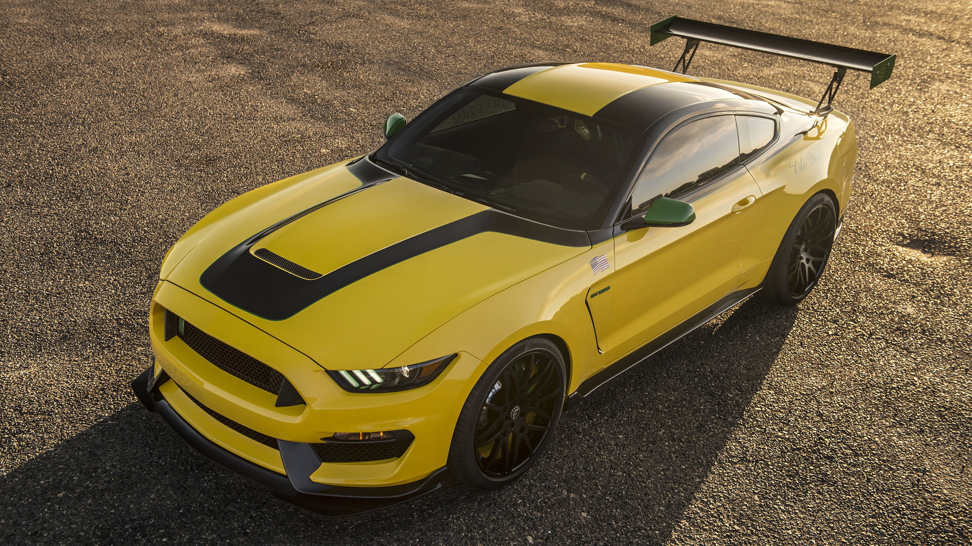 Ole Yeller 2016 Ford Mustang Shelby GT350