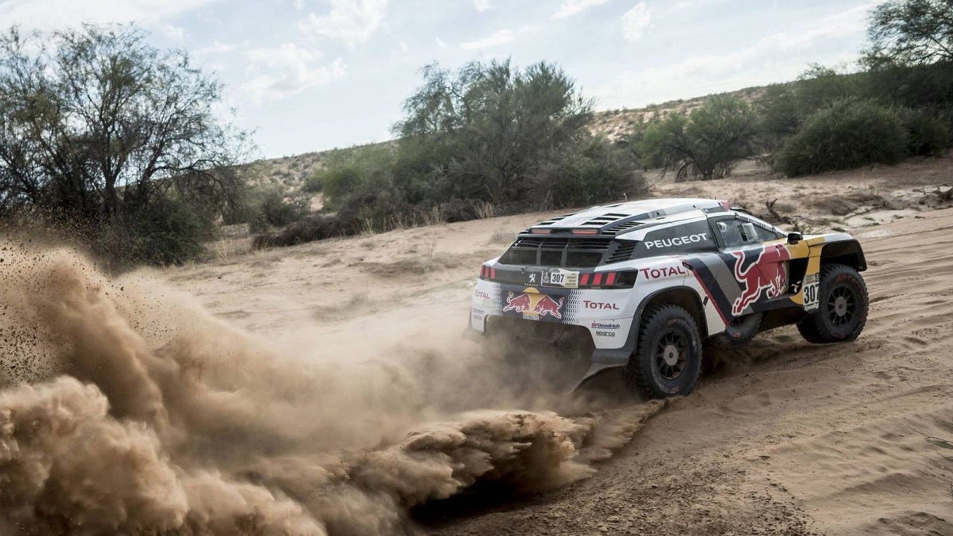 2017 Peugeot 3008 DKR in the Dakar rally