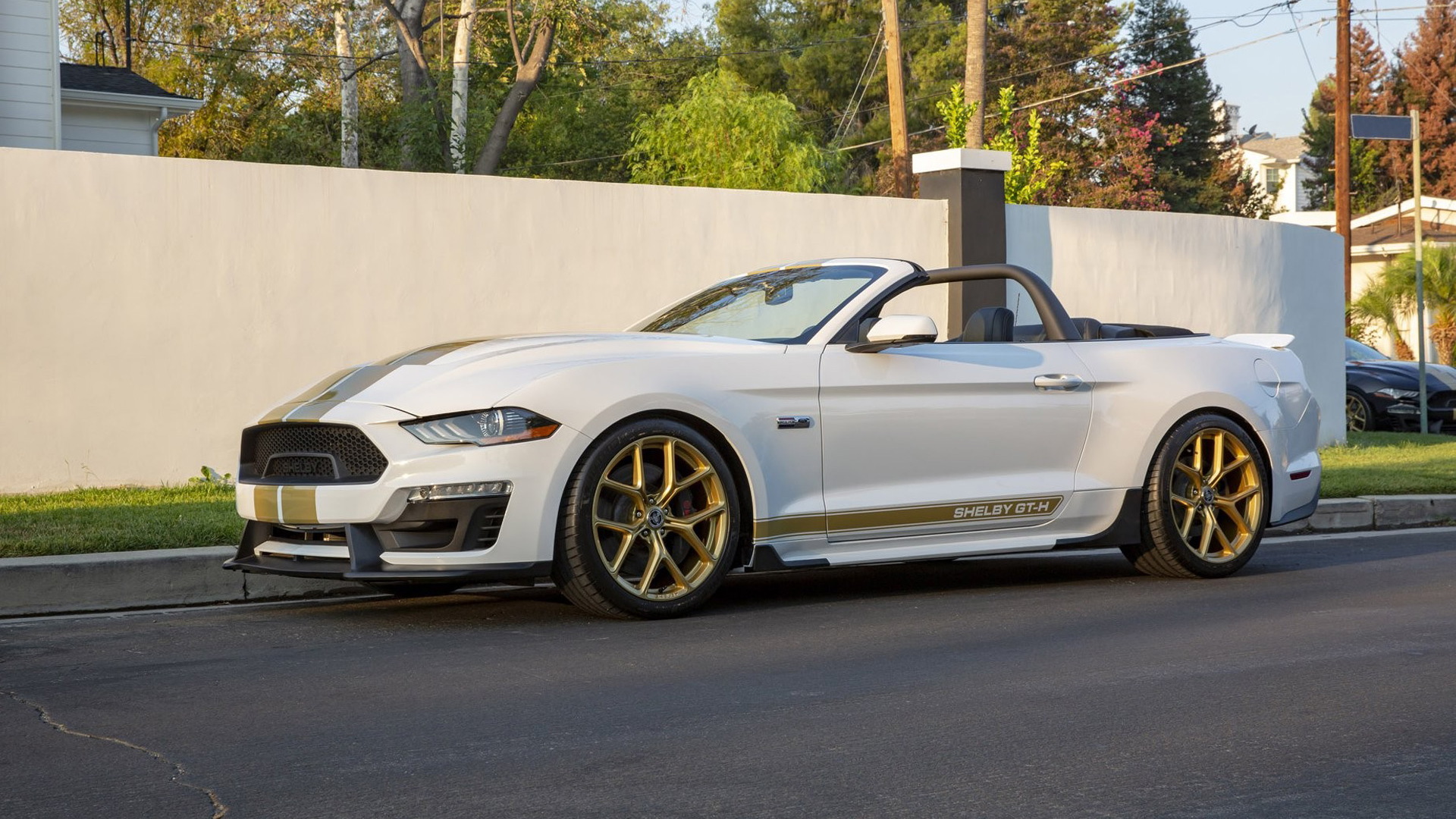 2019 Ford Shelby GT