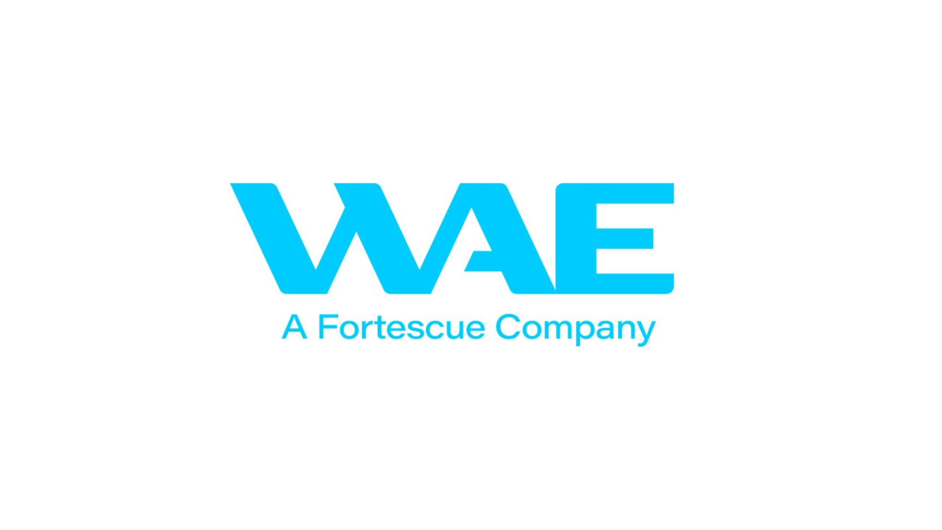 WAE Technologies logo