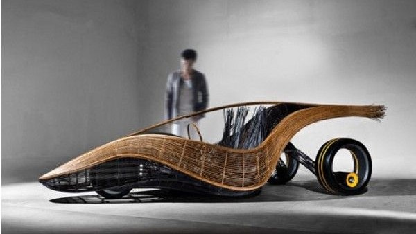 Biodegradable car concept