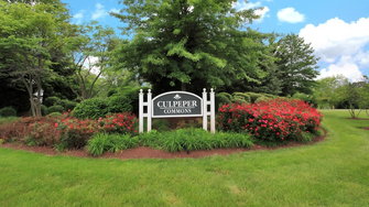 Culpeper Commons - Culpeper, VA