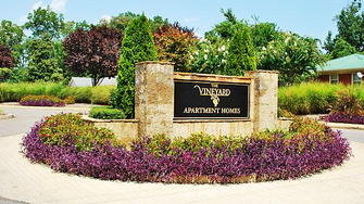 The Vineyard of Olive Branch Apartment Homes - Olive Branch, MS