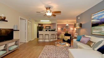 Providence Lakes Apartments  - Brandon, FL