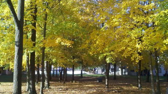 Chimneys of Oak Creek - Kettering, OH