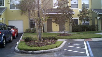 Mallory Square Apartments - Tampa, FL