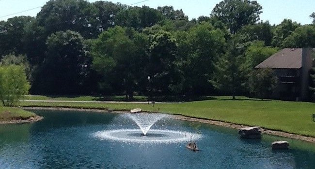 Stewarts Ferry - 274 Reviews | Nashville, TN Apartments for Rent