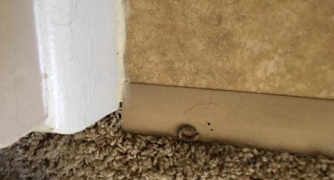 Banyan Bay 57 Reviews Coconut Creek Fl Apartments For Rent