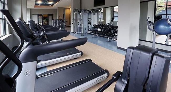 The Allure Mineola - 12 Reviews | Mineola, NY Apartments for Rent