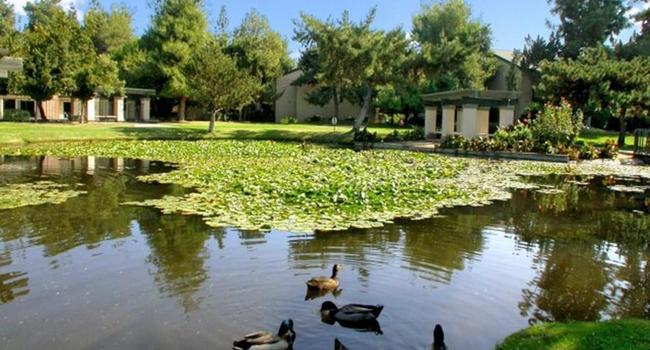 Parks At Fig Garden 33 Reviews Fresno Ca Apartments For Rent Apartmentratings C