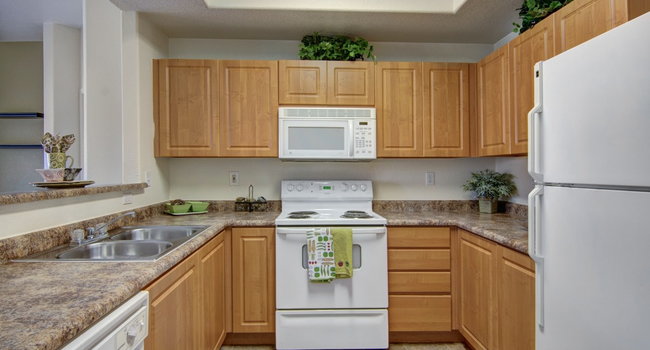 Arezzo Apartments- spacious kitchen with wooden cabinets