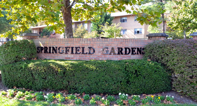 Springfield Gardens Apartments 29 Reviews Springfield Va