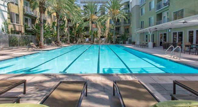 Camden Main and Jamboree - 60 Reviews | Irvine, CA Apartments for Rent