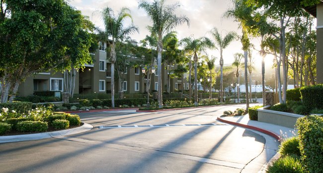 Alicante Apartments 145 Reviews Aliso Viejo, CA