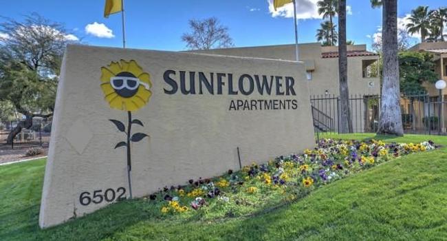 Sunflower 16 Reviews Tucson Az Apartments For Rent