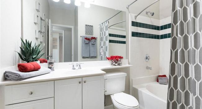 Elan at Mallard Creek Apartment Homes - 48 Reviews | Charlotte, NC