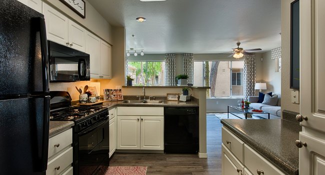 Vista Grove Apartments 78 Reviews Mesa Az For Rent Image Of Vista Grove Apartments In Mesa Az