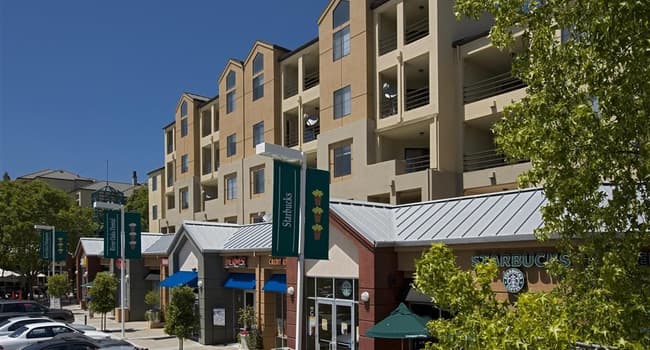 Elan At River Oaks 631 Reviews San Jose Ca Apartments For