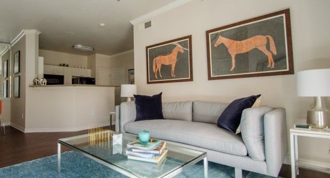 Advenir At Frankford Springs Apartments 218 Reviews Dallas Tx Apartments For Rent Apartmentratings C