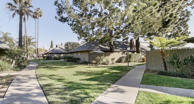 Mango Tree Apartments 12 Reviews Santa Ana Ca For Image Of Mango Tree Apartments In Santa Ana Ca