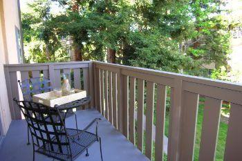 Spruce Apartments 170 Reviews Sunnyvale Ca For Image Of Spruce Apartments In Sunnyvale Ca