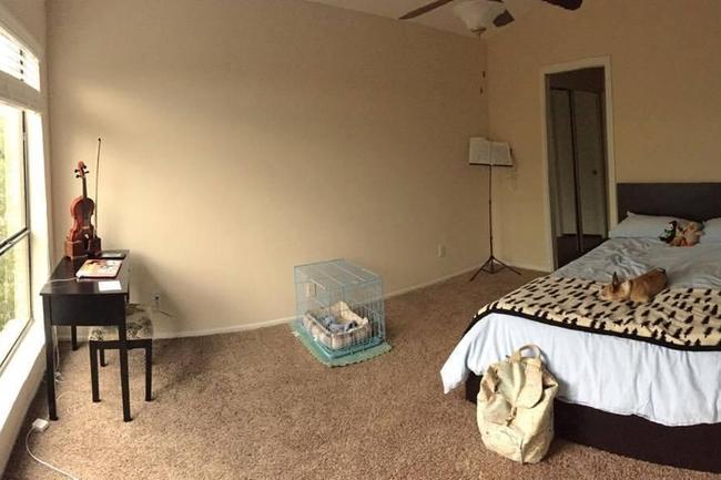 The Henry B 93 Reviews San Antonio Tx Apartments For Rent Resident Photo Of The Henry B In San Antonio Tx