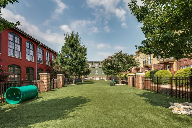 Alpha Mill Apartments 53 Reviews Charlotte, NC