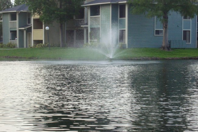 Millenia West 48 Reviews Orlando Fl Apartments For Rent Resident Photo Of Millenia West In Orlando Fl